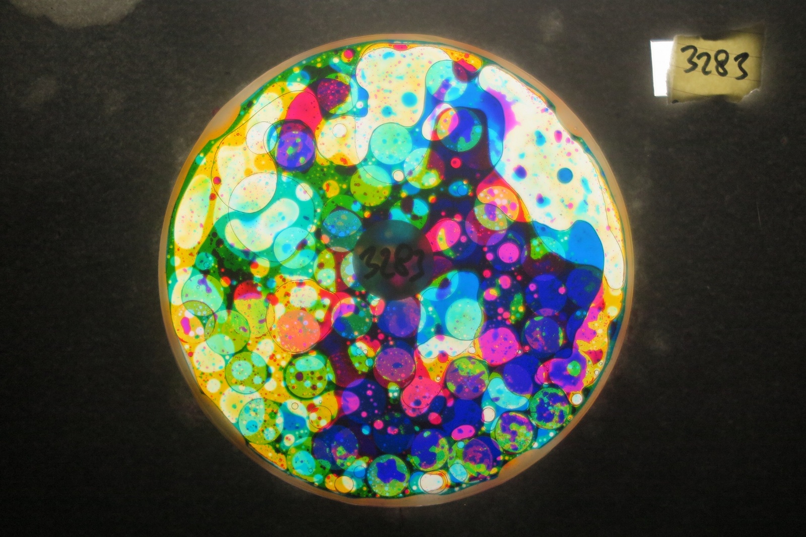 BV3283 bubble vision oil wheel